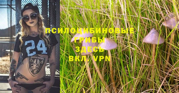 PSILOCYBIN Горнозаводск