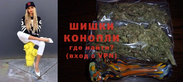 PSILOCYBIN Горнозаводск
