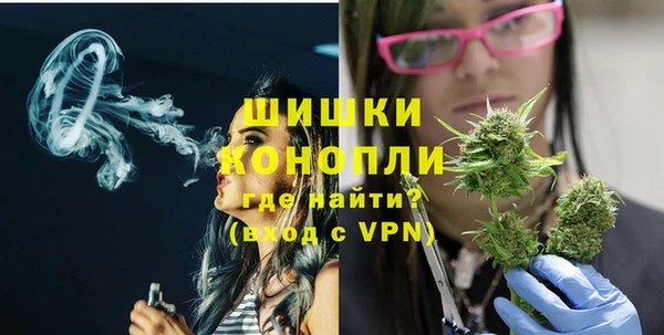 PSILOCYBIN Горнозаводск