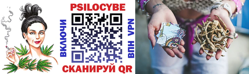 Купить закладки  Судогда  Псилоцибиновые грибы GOLDEN TEACHER 